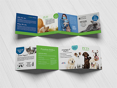 Brochure Design